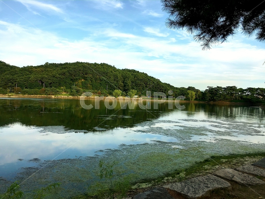 의림지,역사,국사,유적,저수지,자연,풍경,nature,landscape,water,물,outdoors,옥외