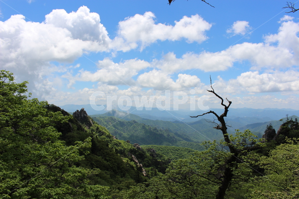 파란하늘,nature,자연,절경,나무,등산,설악산,초록,구름,mountain,sky,bluesky,climb,green,scenery,자연,풍경,nature,landscape