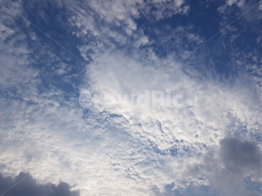 구름,하늘,파란하늘,뭉게구름,하얀구름,cloud,sky,파란색,하얀색,흰색,blue,bluesky,white