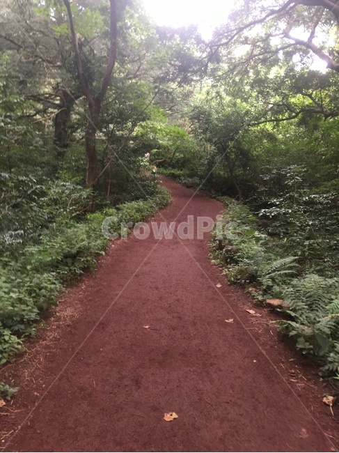 산길,숲체험,산행,산림욕,가을숲,자연,풍경,nature,landscape,path,통로