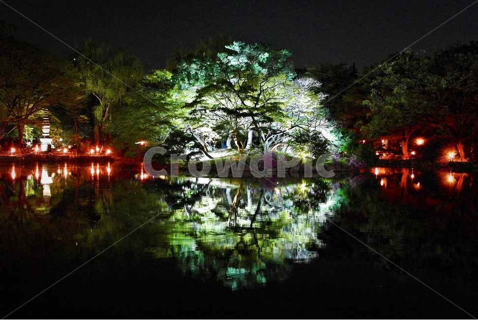 야경,연못,나무,조경,반사,자연,풍경,nature,landscape,한국자연풍경,한국자연경관,korea nature landscape,야경,밤,nightscape,night