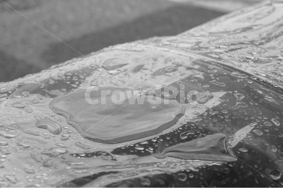 흑백,비,흐린날,감성,배경,흑백사진,빗물,모노톤,비,비오는날,rain,rainy,흑백,모노톤,monochrome,black and white
