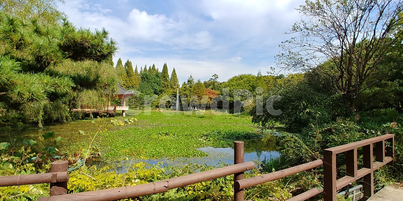 자연,outdoors,nature,plant,연못,green,정자,나무,tree,pond,풍경,자연,풍경,nature,landscape,옥외,식물