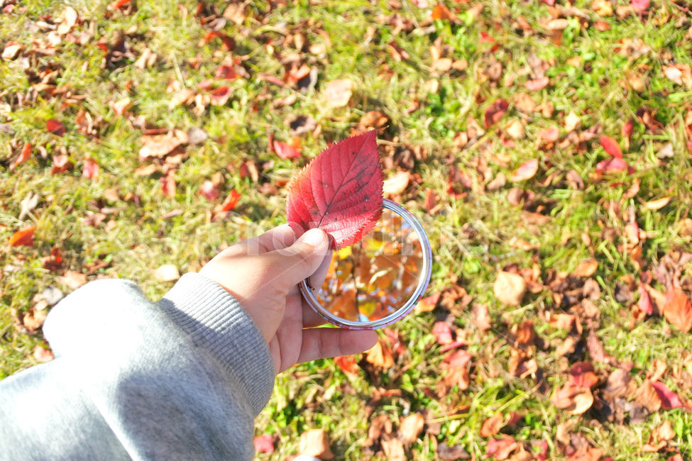 컨셉,거울,하늘,낙엽,가을,mirror,fall,손,가을,계절,fall,autumn,season