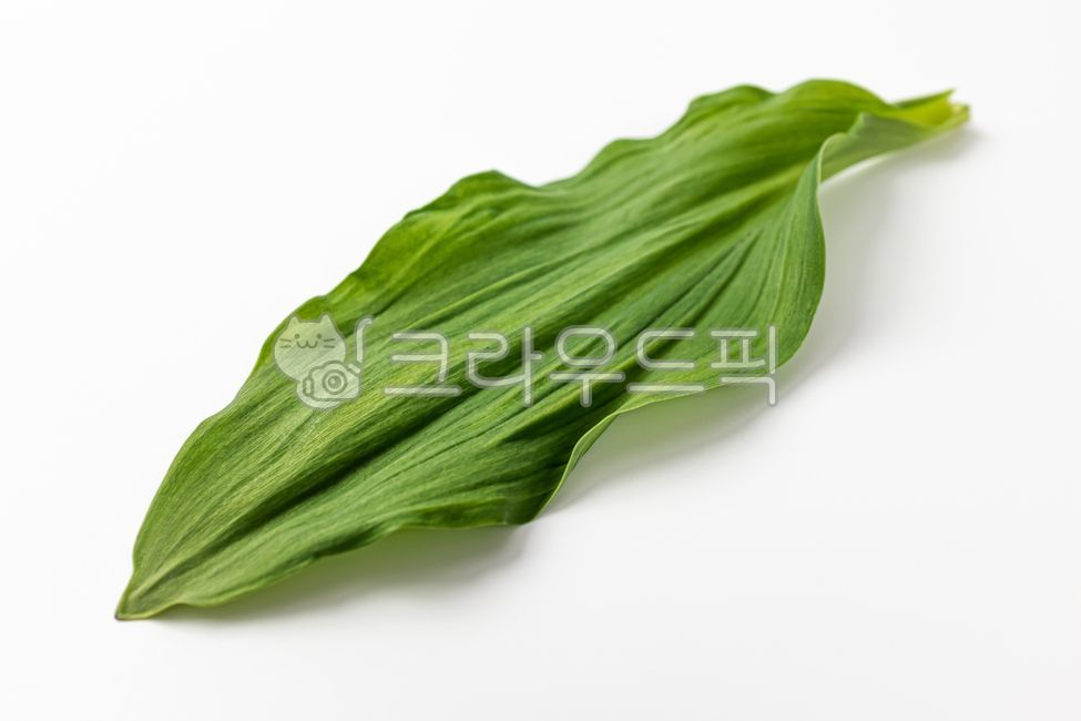 명이,산마늘,부추,산나물,잎,나물,채소,식물,동아시아음식,음식,식사,식품,식료품,재료,식재료,음식재료,클로즈업,길쭉한,얇은