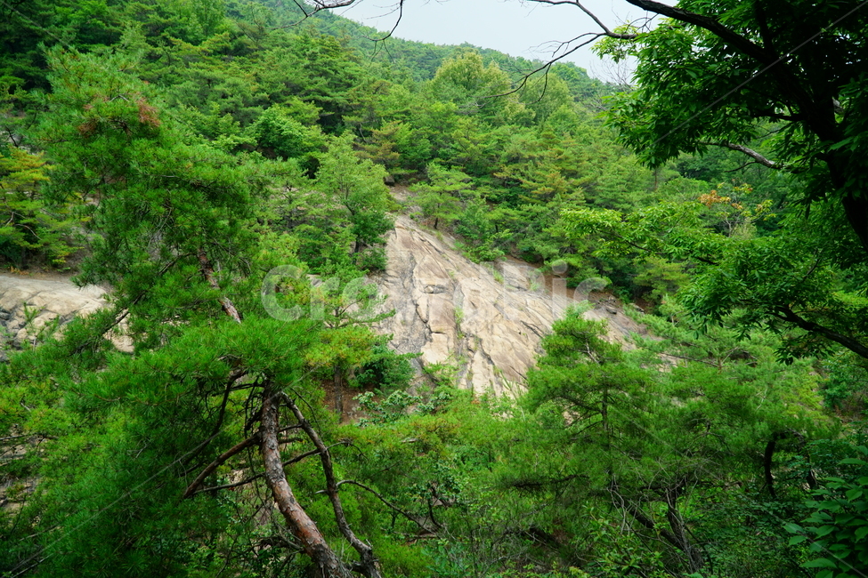 경기도,구리시,아차산,큰바위얼굴,자연,바위,암석,한국,한국자연,korea,nature,풍경,mountain,landscape,rock,face,얼굴,나무,tree