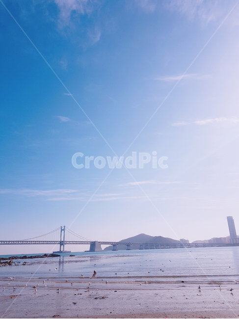 부산,바다,풍경,하늘,해변,갈매기,비둘기