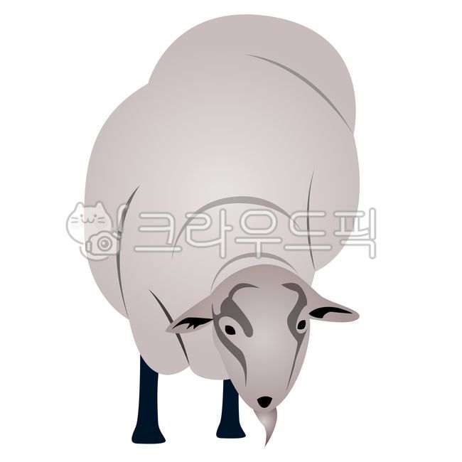 양, sheep, livestock, 가축, mammal, 사진,이미지,일러스트,캘리그라피 - 그리미조아작가