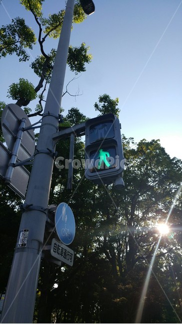 신호등,초록불,신호,일본신호등,greenlight,교통,교통수단,traffic,transportation