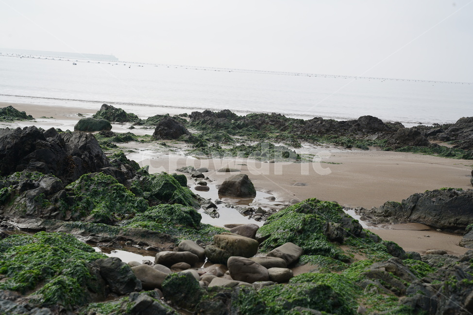 바다가,바다바위,해변가,바다풍경,바다경치,돌,바위,roca,swa,해변,바다,beach,sea