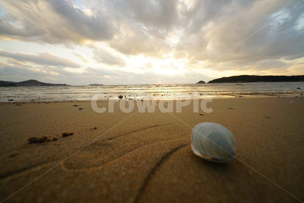 조개,노을,해변,영종도,석양,바다,풍경,해변,바다,beach,sea