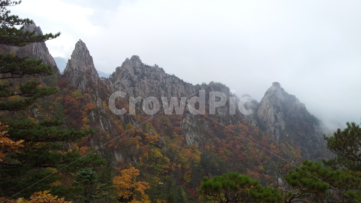 설악산,국립공원,공룡능선,mountain,nationalpark,가을,계절,fall,autumn,season,자연,풍경,nature,landscape,outdoors,옥외,tree,나무,plant,식물
