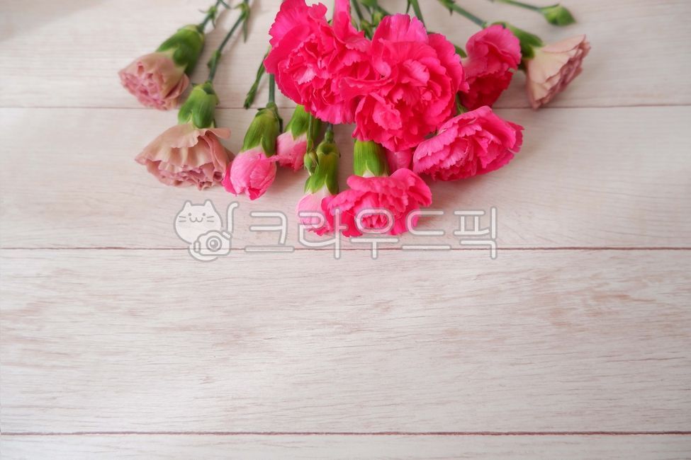 Mothers Day Flowers,pink,wooden table,May,In May,red carnation,carnation,wood background,Parents Day Gift,red,Teachers Day Flowers,carnation flower,wood,woodentable,Teachers day,family month,parents day background,blossom,may,bouquet,Mothers Day,flower,bl