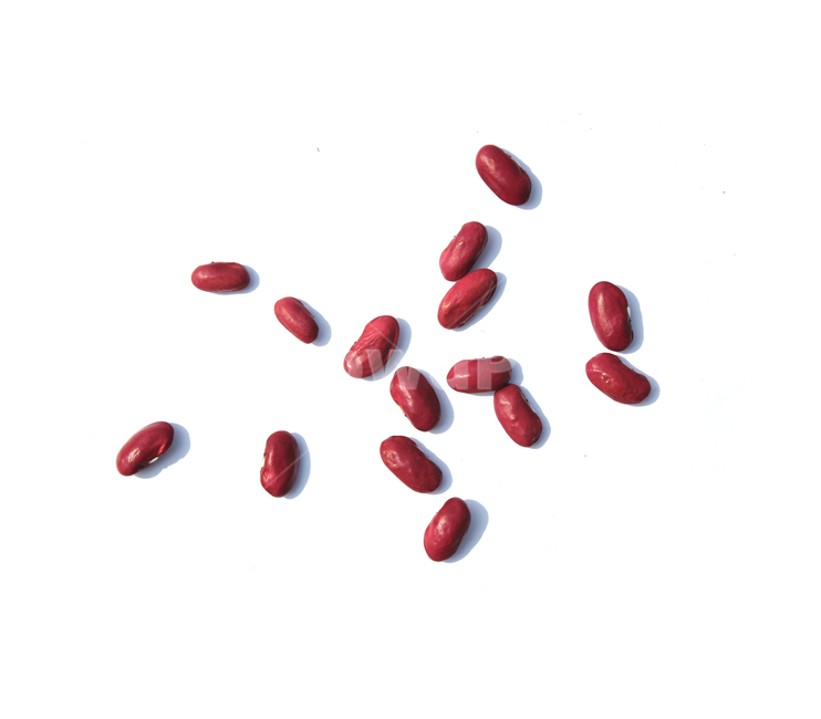 붉은콩,bean,콩,redbean,brown,closeup,dry,food,protein,red,seed,uncooked,vegetable,white,흰배경,야채,붉은색,빨강,말린,단백질,씨앗,요리재료,식재료,요리,음식,음식,식재료,요리,food,cook,meal,dishes,food reserves,콩류,견과류,beans,pulse,nuts,dry fruits,누끼,remove background