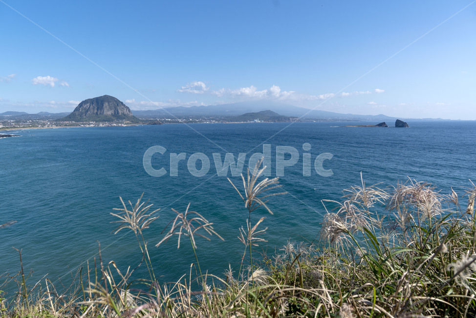 송악산,산방산,한라산,제주도,nature,자연,outdoors,옥외,land,나라,promontory,곶,shoreline,해안선,water,물,ocean,대양,sea,grass,plant,식물,자연,풍경,nature,landscape