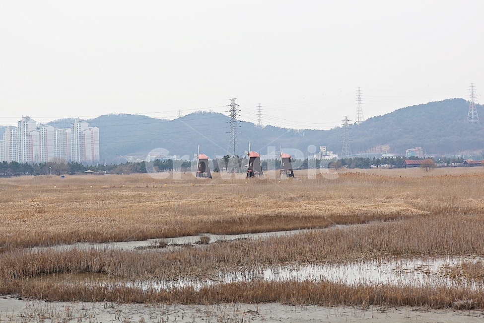 풍차,빨간풍차,바람개비,갈대,억새,식물,자연,풍경,겨울