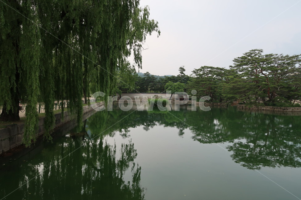 경복궁,한국,전통,동양풍,건물,자연,컬러,gyeongbokgungpalace,korea,traditional,orientalstyle,buildings,nature,tree,plant,stone,color,조선시대,궁궐,한국전통,한국문화,korean traditional,korean culture,랜드마크,landmark,tourist attraction,한국랜드마크,한국관광지,한국명소,korea landmark,korea tourist attraction