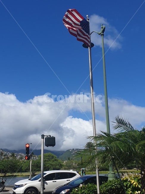 flag,깃발,symbol,상징,미국,usa