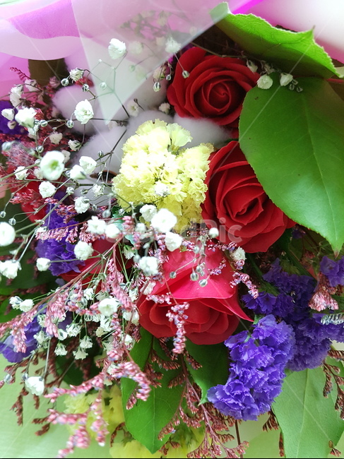꽃,꽃다발,졸업식,장미,축하,꽃,flower,기념일,축하,anniversary,congratulation,celebrate,celebration