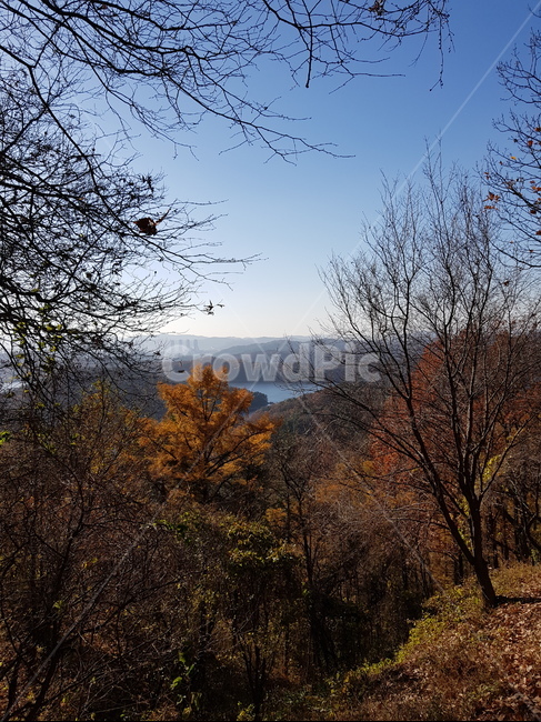 청남대,대청호,가을청남대,청남대가을,청남대단풍,대청호가을,대청호단풍,대청호수,호수,파란하늘,맑은하늘,하늘,산