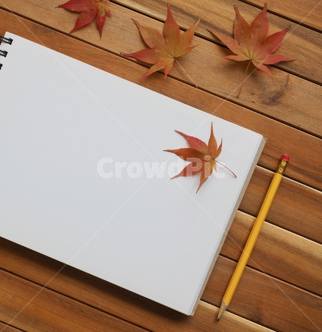 연습장,연필,스케치북,종이,공란,공책,단풍잎,가을,잎,exercisebook,pencil,sketchbook,paper,blank,notebook,mapleleaf,autumn,leaf,가을,계절,fall,autumn,season,사물,물건,오브젝트,thing,object,matter,학용품,문구류,사무용품,school supplies,stationery,office supplies,plant,식물,maple leaf,tree,나무