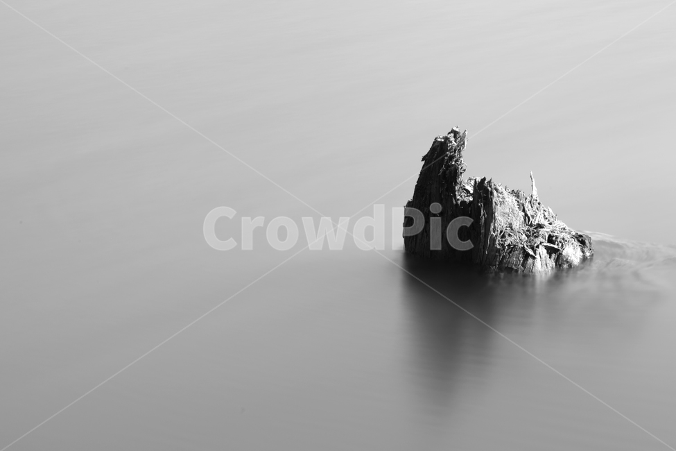 nature,water,자연,물,나무,흑백,흑백,모노톤,monochrome,black and white