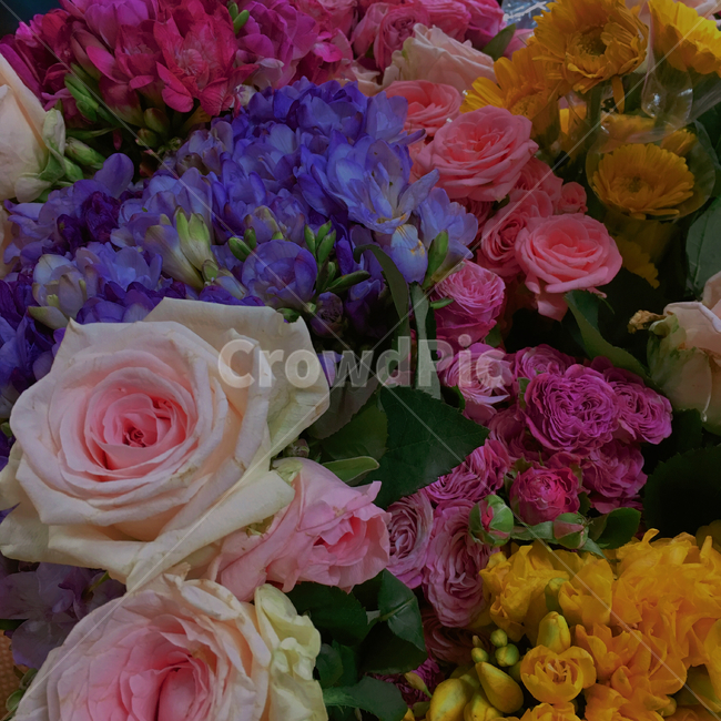 꽃,생화,flower,꽃다발,분홍색
