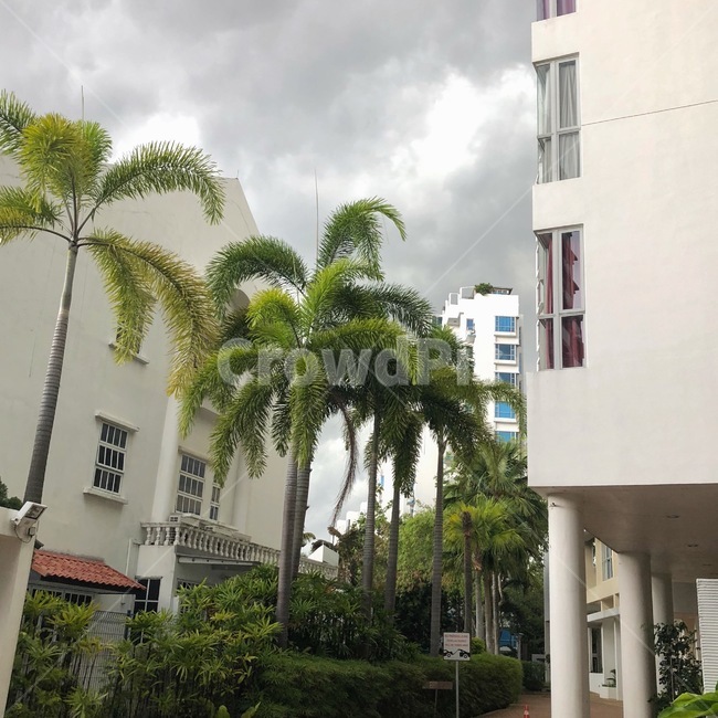 해외,외국,풍경,건물,하늘,구름,빌딩,나무,싱가폴,싱가포르,집,비,oversea,singapore,tree,building,sky,cloud,rain,house,감성,도시,풍경,city,landscape,outdoors,옥외,garden,정원