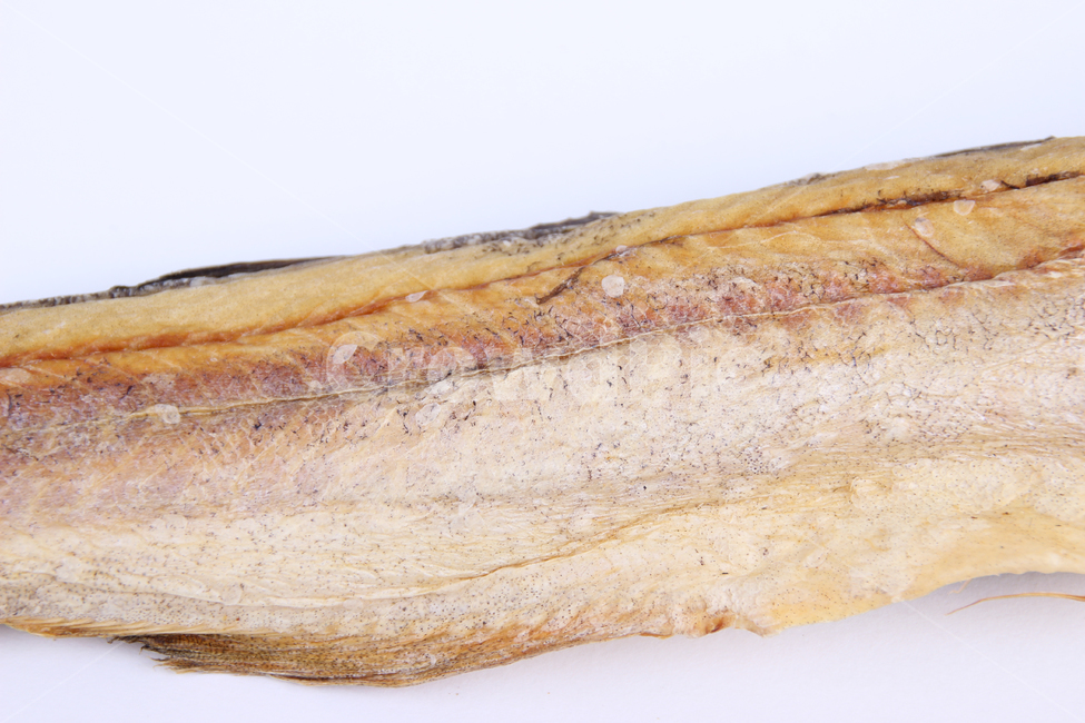 fish,물고기,황태,북어,driedpollack,북어바디,황태몸,음식,식재료,요리,food,cook,meal,dishes,food reserves