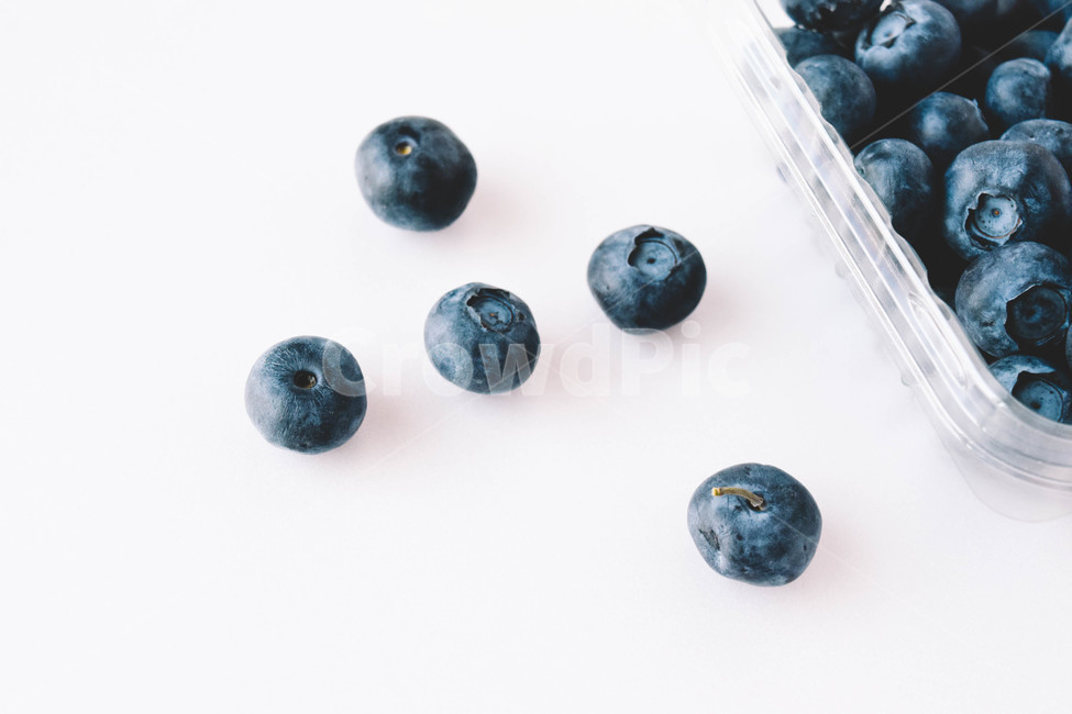 블루베리,과일,보라,누끼,누끼사진,fruit,blueberry,하얀배경,음식,식재료,요리,food,cook,meal,dishes,food reserves,과일,열매,fruit,누끼,remove background