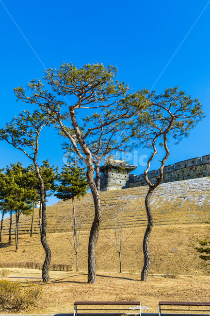 Mars,rampart,Cultural Heritage,castle,National tourist site,UNESCO World Heritage Site,Suwon City Wall,Korean meaning,Northeastern University