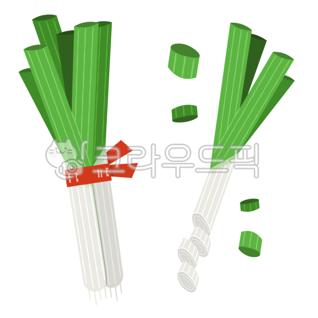 파, 대파, 야채, 채소, 일러스트, 사진,이미지,일러스트,캘리그라피 - woocat작가