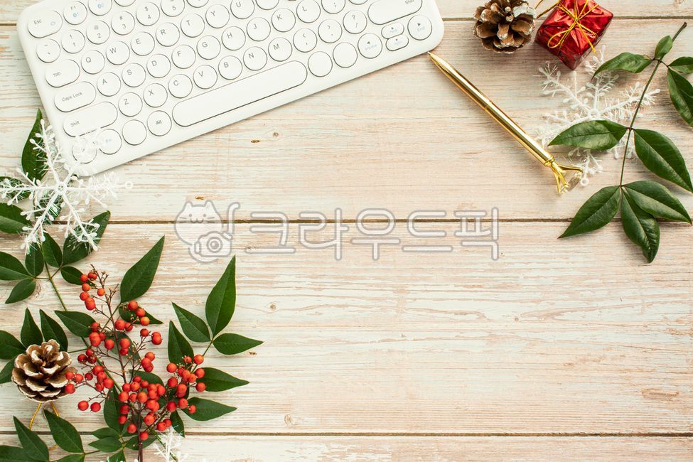 성탄,데코,틀,빨강,나무로되는,가지,베리,초록,네이처,겨울,소나무,나뭇잎,백,우드배경,배경,카피공간,크리스마스,데코레이션,프레임,성탄절,휴가,무늬,초록색,백그라운드,장식품,장식물,장식,모양,꾸밈,솔방울,여백,표지,형판,신선한,빨간열매,열매,키보드,오피스,블루투스,온라인,재택근무,펜,휴일,하얀,빈티지,디자인,plant,식물,leaf,잎,컴퓨터,크리스마스사진공모전