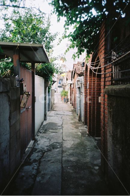 서울,골목,골목길,감성,감성사진,필름,필름사진,햇빛,film,seoul,korea,골목길,alley,감성,sensible,feeling,빈티지사진,빈티지느낌,빈티지감성,vintage,flagstone,판석,outdoors,옥외,town,도시,road,도로,city,시티,street,거리,urban,어반,building,건물,garden,정원