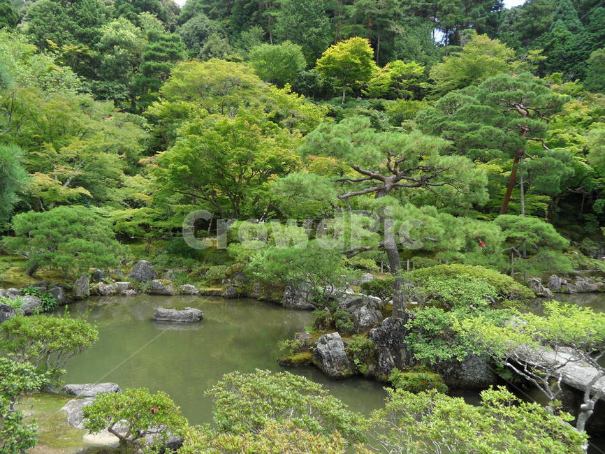 자연,나무,산,호수,풍경,자연,풍경,nature,landscape,water,물,outdoors,옥외