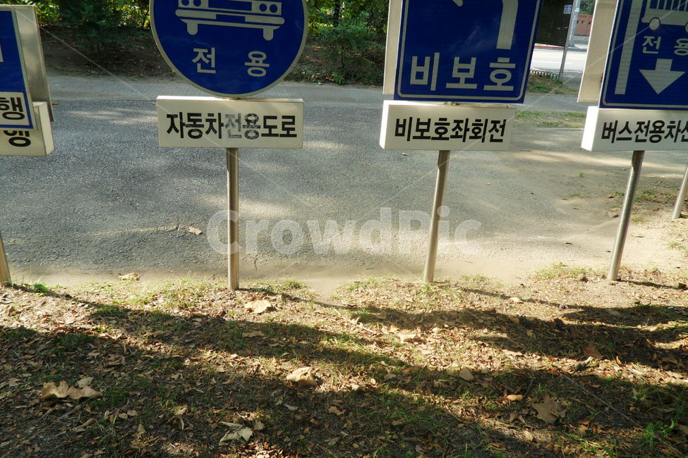 표지판,교통표지판,땅그림자,trafficsign,trafficsymbol,교통공원,햇빛그림자,여유,감성,한적,버스,자동차,도로