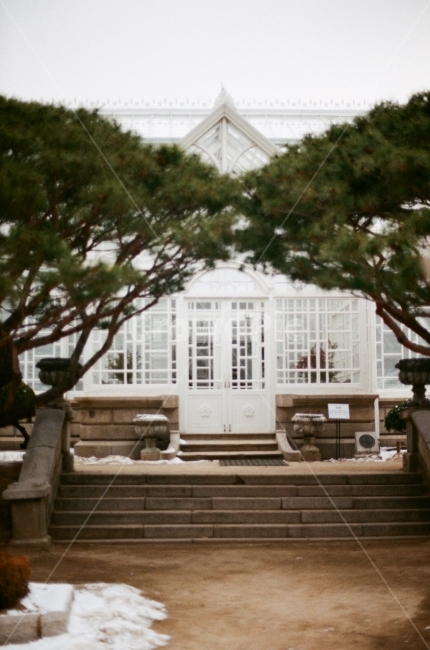 창경궁,대온실,나무,계단,겨울,풍경,전통,필름사진,행복,하늘,추억,대한민국,서울,눈,tradition,tree,stails,winter,landscape,film,happy,sky,memory,korea,seoul,겨울,계절,winter,season,랜드마크,landmark,tourist attraction,한국랜드마크,한국관광지,한국명소,korea landmark,korea tourist attraction