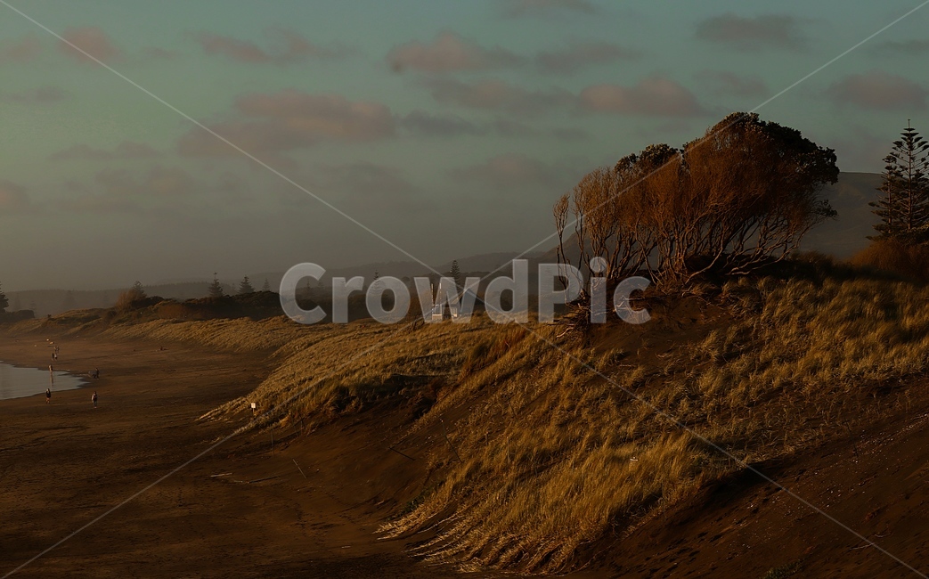 New Zealand,Beach,sunset,garnet,Auckland,Muriwai