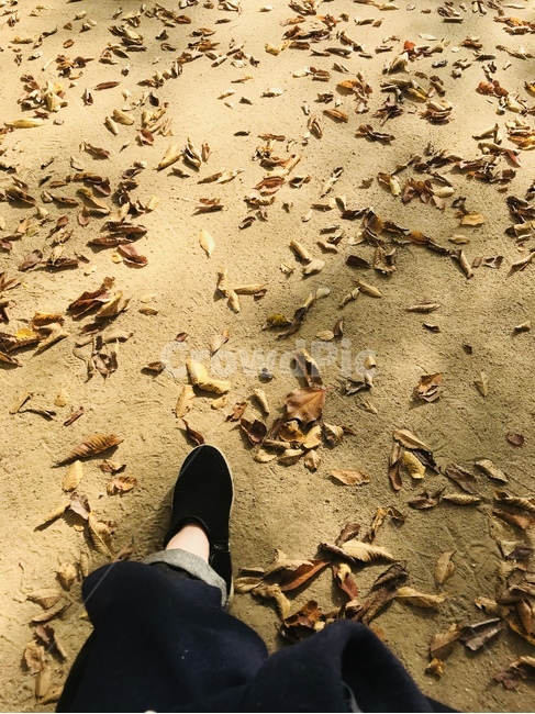 가을,단풍,풍경,쓸쓸,혼자,가을,계절,fall,autumn,season,사람,인물,인간,human,person,신체일부,몸,body