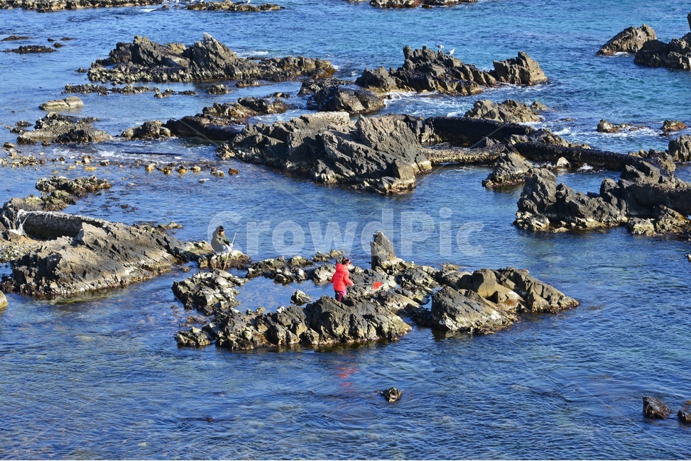 outdoors,옥외,nature,자연,water,물,ocean,대양,sea,바다,shoreline,해안선,coast,연안,해변,경주,양남,읍천,읍천주상절리,주상절리,person,사람,human,인간