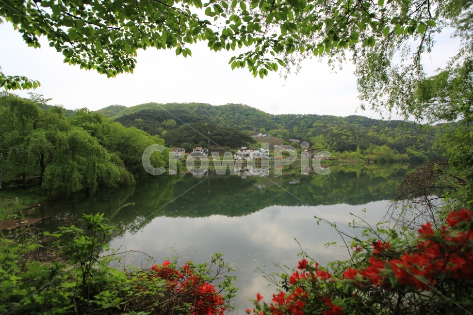 저수지,봄,반영,자연,풍경,시골,나무,녹색,자연,풍경,nature,landscape,한국자연풍경,한국자연경관,korea nature landscape,water,물,outdoors,옥외
