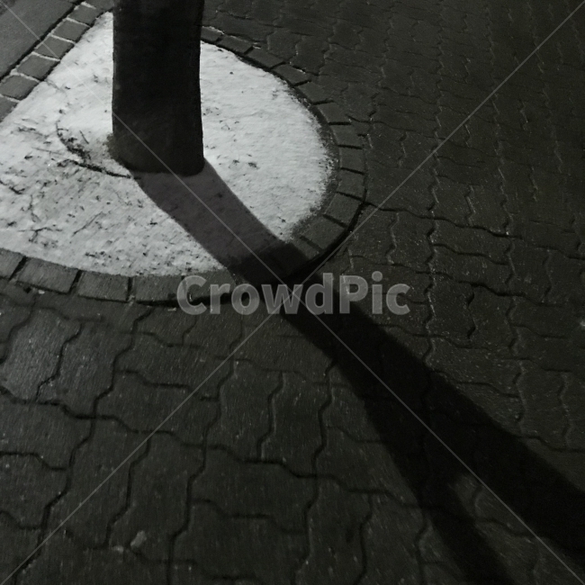 눈,그림자,나무,밤,저녁,snow,night,street,겨울,계절,winter,season,흑백,모노톤,monochrome,black and white