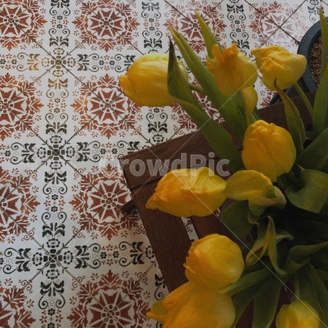 꽃,튤립,노랑,타일,tile,wood,yellow,식물,자연,plants,nature,꽃,flower