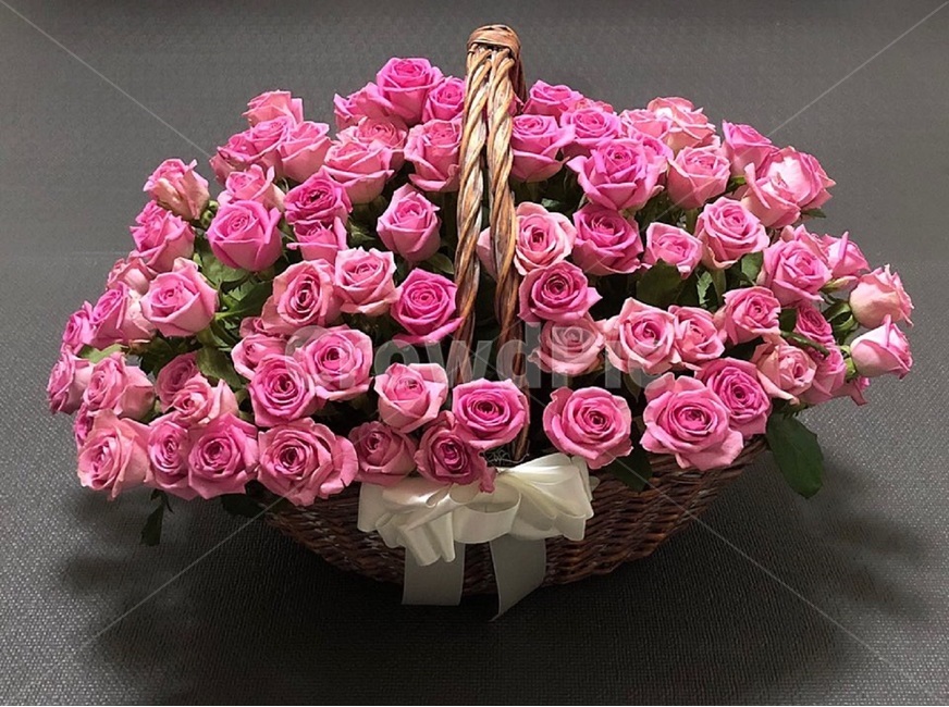 장미,백송이,분홍,꽃,꽃다발,pink,flower,rose,present,gift,꽃송이,바구니,가시,분홍장미,분홍색장미,핑크색장미,꽃선물,선물,사랑,마음,감성,감성사진,행복,향긋,꽃냄새,플로리스트,flourist,향긋한,생화