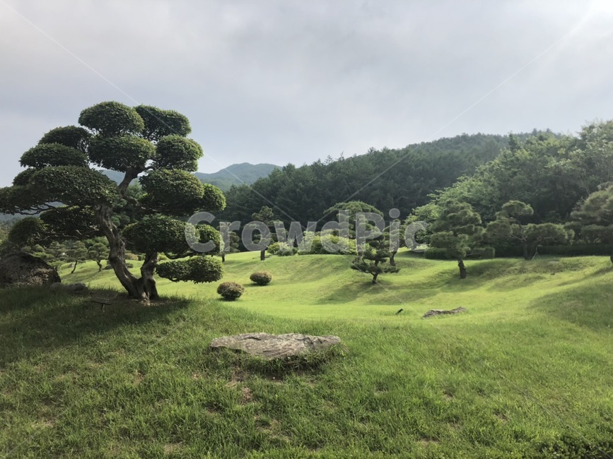 수목원,공원,나무,식물,자연,자연,풍경,nature,landscape,grass,잔디,plant,vegetation,초목,outdoors,옥외,bush,부시,tree,land,땅