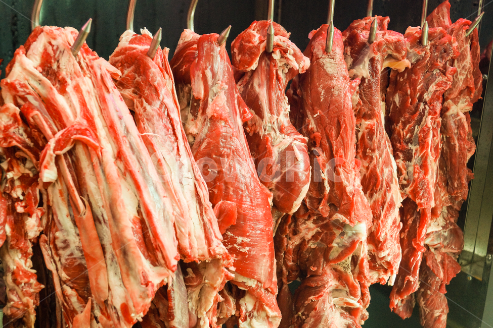 고기,흑염소,정육점,갈비,식육,음식,식재료,요리,food,cook,meal,dishes,food reserves,육류,고기,meat