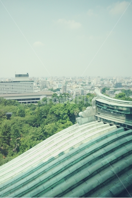 일본성,히메지,나고야,성,일본전통,japan,traditional,castle,white,nagoya,나고야성,전망,view,도시,풍경,city,landscape,해외,외국,세계,foreign,oversea,world,세계도시풍경,해외도시풍경,외국도시풍경,world cityscape,경치,outdoors,옥외,nature,자연,scenery,panoramic,파노라마