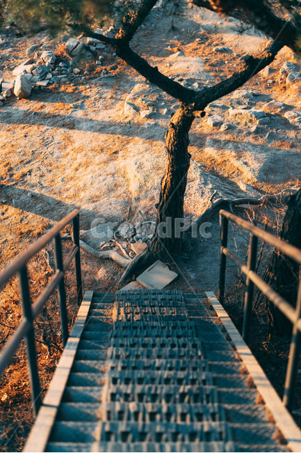 인왕산,서울,배경화면,빛,산,landscape,풍경,korea,light,나무,계단,자연,풍경,nature,landscape,banister,난간,handrail,railing