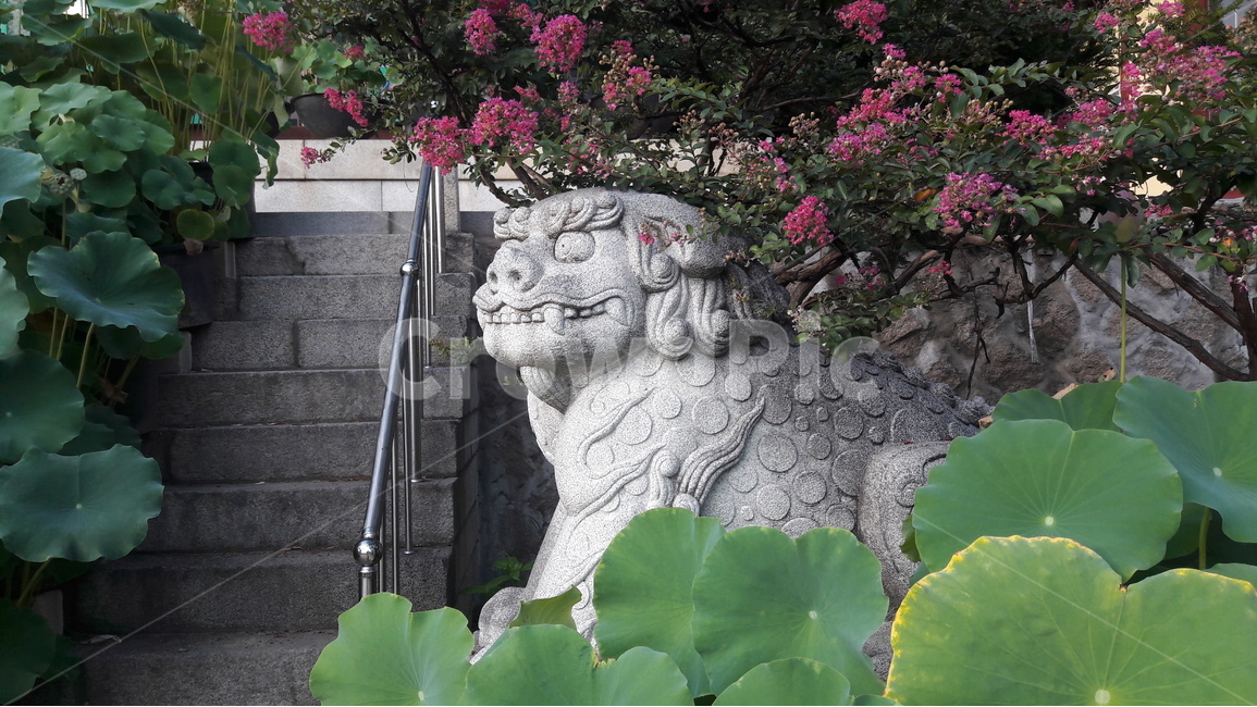 연잎,계단,해태,배롱나무,꽃,한국전통,한국문화,korean traditional,korean culture,조각상,동상,석상,조형물,statue,bronze statue,stone statue