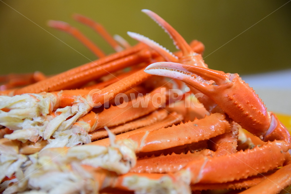 대게,홍게,게,영덕대게,영덕,집게살,음식,요리,수산물,food,해산물,푸드,cook,seafood,대게집게,crab,음식,식재료,요리,food,cook,meal,dishes,food reserves,수산물,해산물,fishery products,seafood